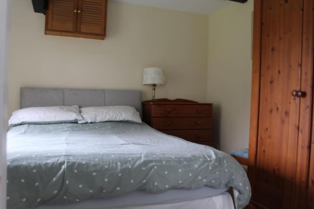 Cozy Country Cottage With Beautiful Rural Views New Quay Εξωτερικό φωτογραφία
