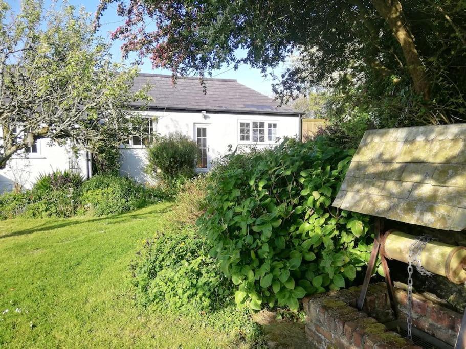 Cozy Country Cottage With Beautiful Rural Views New Quay Εξωτερικό φωτογραφία